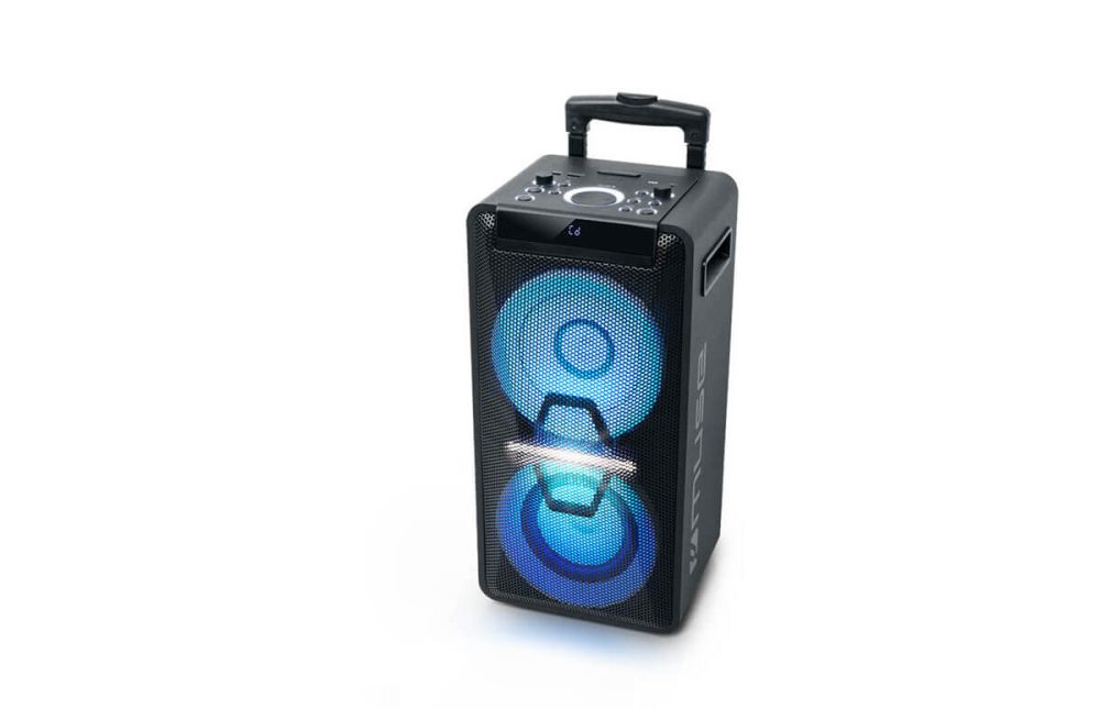 Акустическая система PARTY BOX  с ручкой Muse M-1920 DJ